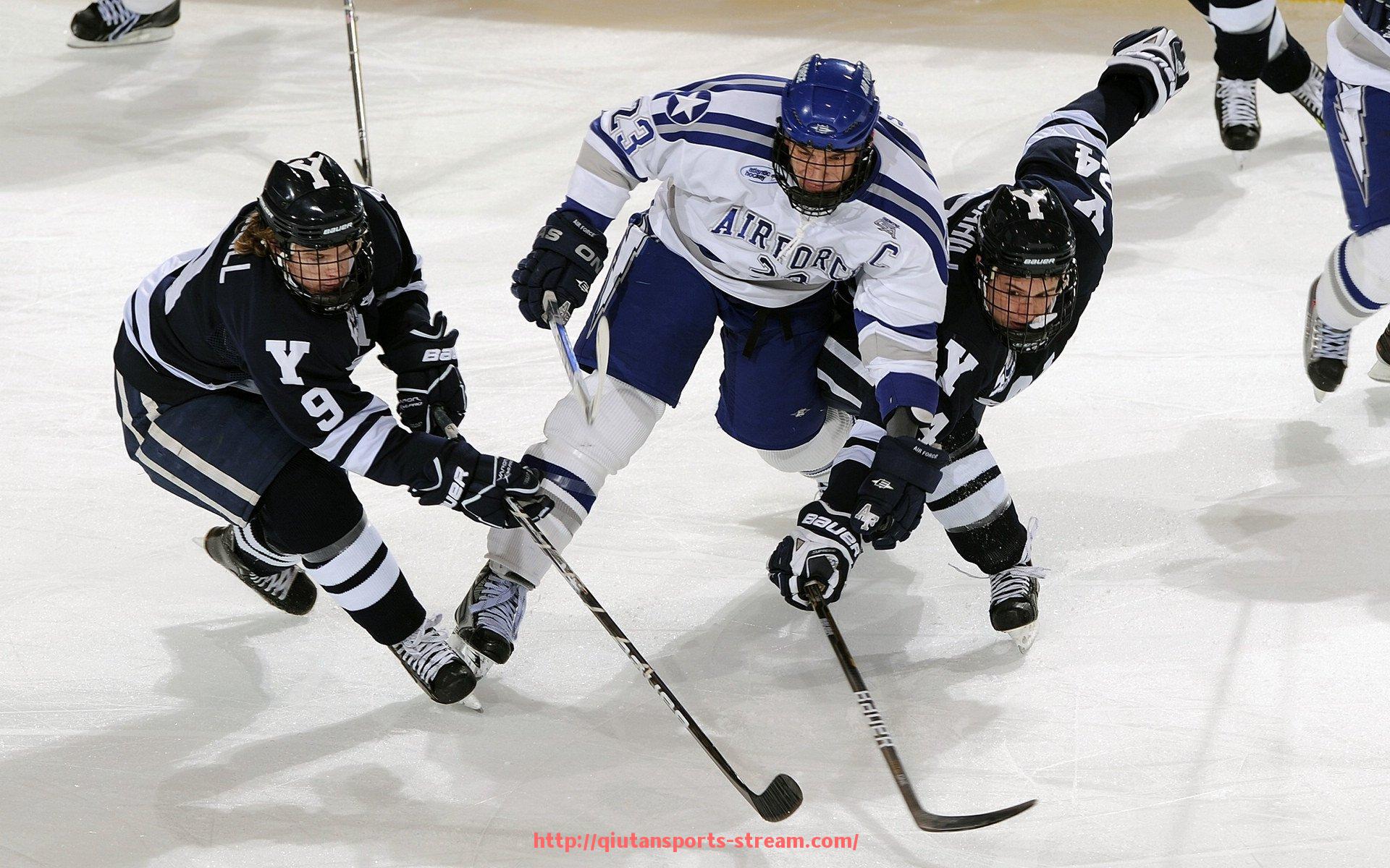 球探体育-炼腿部健身器材图片及体育训练动作示范详解